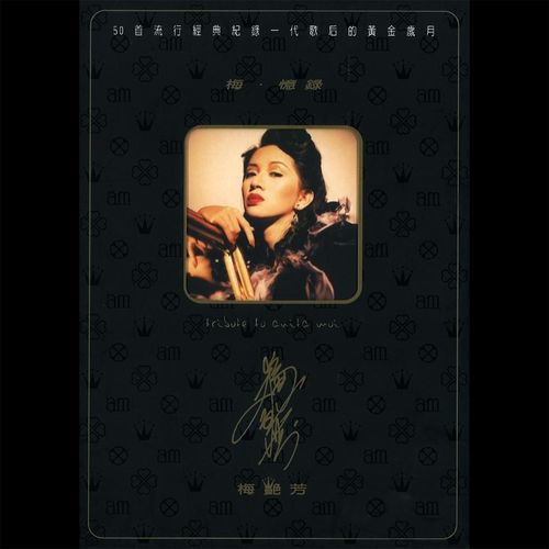 孤身走我路 - 梅艳芳