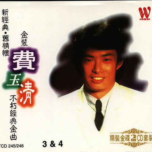 月亮代表我的心 - 费玉清